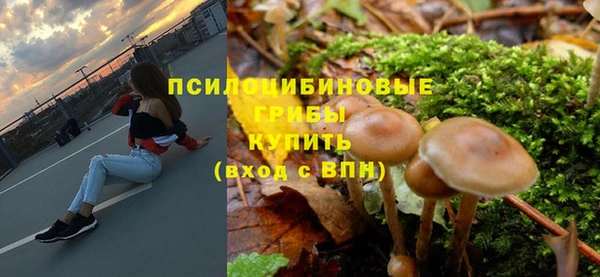 спайс Медногорск