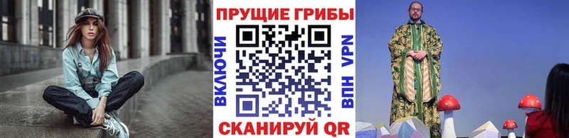 закладки  Усть-Лабинск  Псилоцибиновые грибы MAGIC MUSHROOMS 