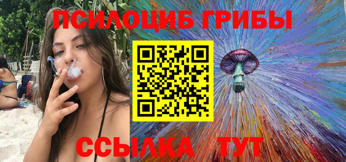 Псилоцибиновые грибы Psilocybe Усть-Лабинск